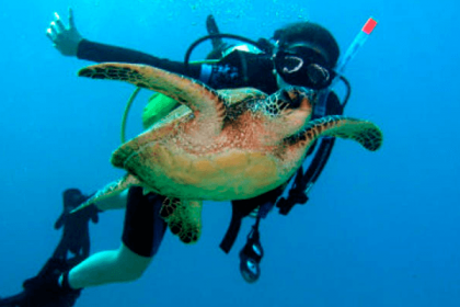snorkeling-fuerteventura